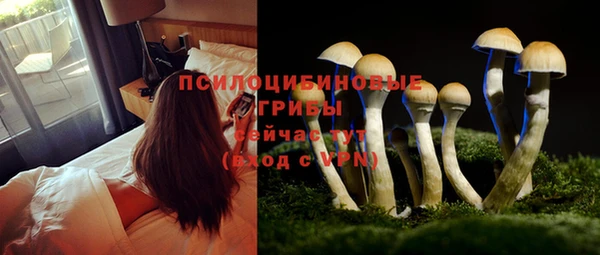 кокаин премиум Богданович