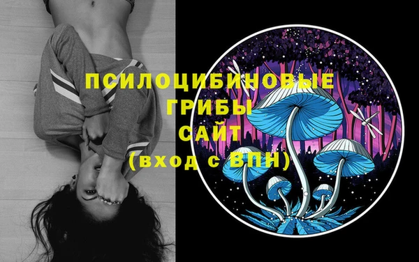 кокаин премиум Богданович