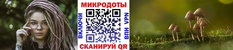 Псилоцибиновые грибы Psilocybine cubensis  Ростов 
